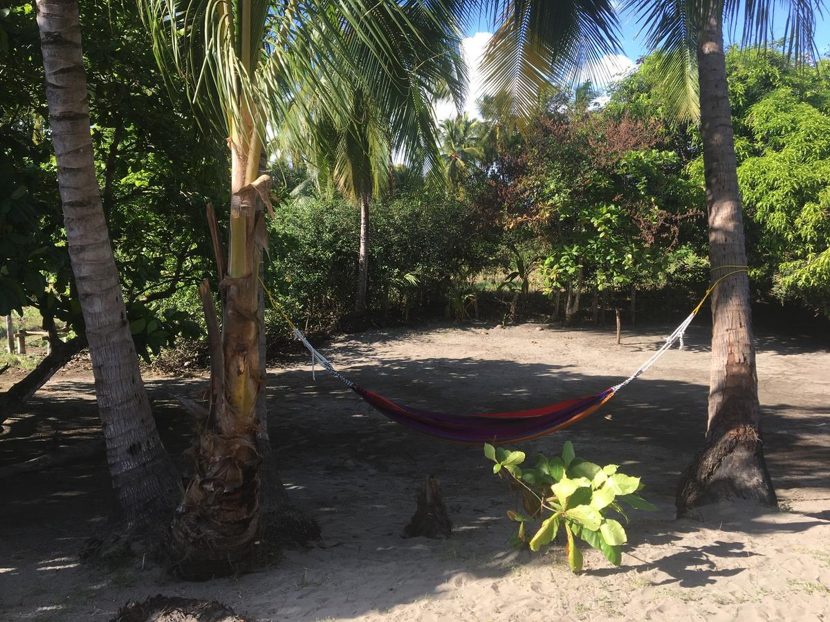 Johnny Fiestas Hostel Las Lajas  Εξωτερικό φωτογραφία